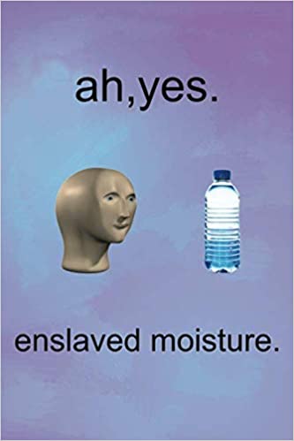 This meme reads: Ah yes enslaved moisture